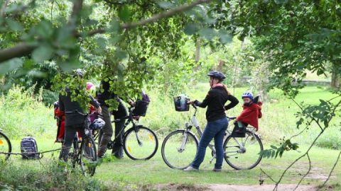 Radeln entlang des Müritz-Radrundweges