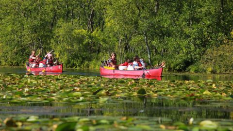 Unterwegs im Müritz-Nationalpark