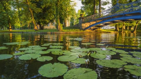 Schlosspark Mirow_Foto Timm Allrich © SSGK M-V 