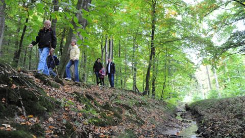 Wanderung durchs Moor