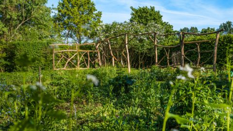 Wangeliner Garten - Einblicke