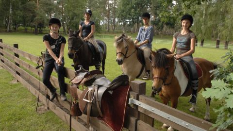 Reiten auf Ponys und Pferden