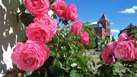 Stadtkirche vom Mühlenviertel aus