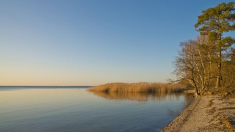 Blick auf Müritzstrand auf der Kanutour Mirow-Müritz-Rundtour