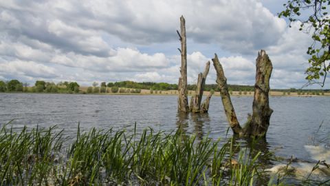 Naturschutzgebiet Stuer bei Plau auf der Wandertour Wasser, Wald & Bären