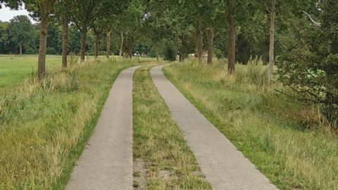 Radweg zwischen Malchin und Teterow