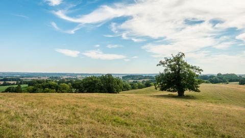 Röthelberg, Mecklenburgische Schweiz