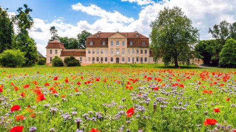 Schloss Kummerow