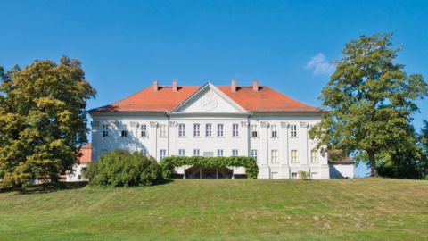 Schloss- und Schlosspark Hohenzieritz