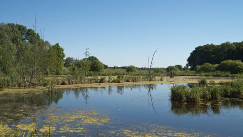 Stuer auf der Wandertour Wasser, Wald & Bären