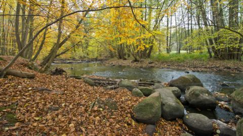 Entlang der Peene (Tagestour 1) auf der Wandertour Malchiner Becken Sterntouren