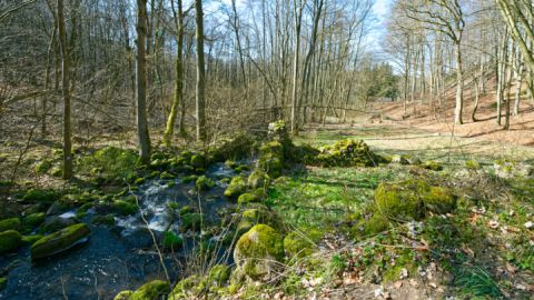 Tal der Eisvögel auf der Wandertour Wasser, Wald & Bären