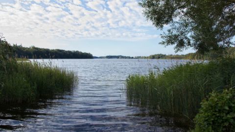 Am Ufer des Tiefwarensee's auf der Wandertour um den Tiefwarensee