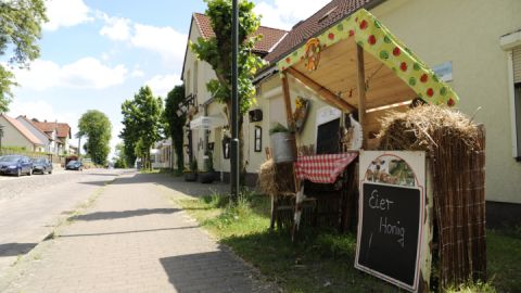 Blick auf Kleinzerlang auf der Kanutour Auf den Spuren Theodor Fontanes