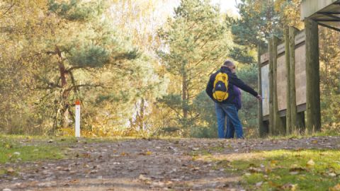 Wanderer informieren sich am Käflingsbergturm auf der Wandertour Müritz-Nationalpark Weg