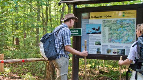 Wanderer an einer Infotafel im Müritz-Nationalpark