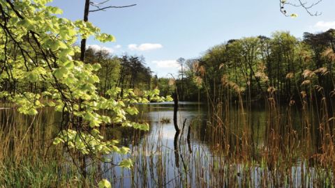 Waren (Müritz) - Müritz Nationalpark