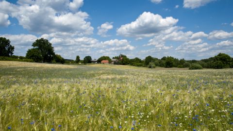 Blick auf Wustrow auf der Kanurundtour 4 - 6 Tage - Schwaanhavel