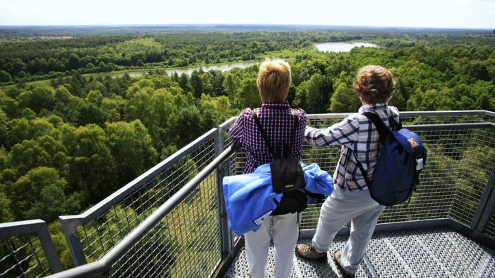 Blick über den Müritz-Nationalpark auf der Wandertour Müritz-Nationalpark Weg