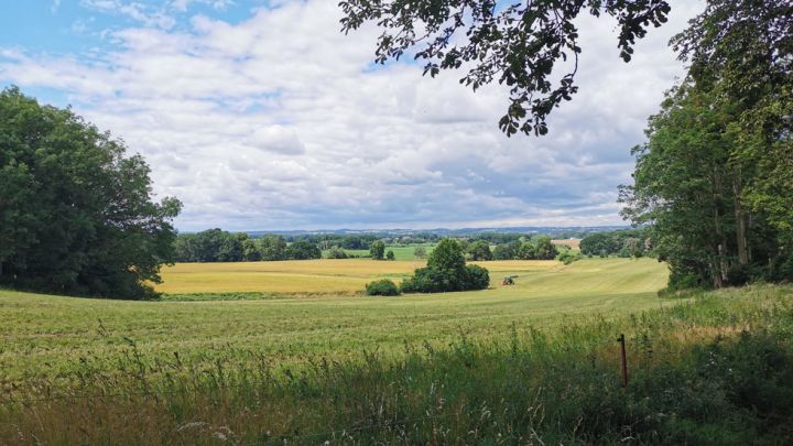 Blick auf die Landschaft auf der Radtour Blücherhof - Alt Gaarz - Grabowhöfe - Sommersdorf - Sophienhof - Klocksin