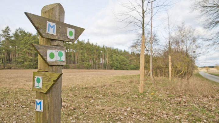 Wegbezeichnung "M-Symbol" auf der Wandertour Müritz-Nationalpark Weg