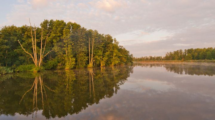 Naturpark Flusslandschaft Peenetal, Mecklenburgische Seenplatte