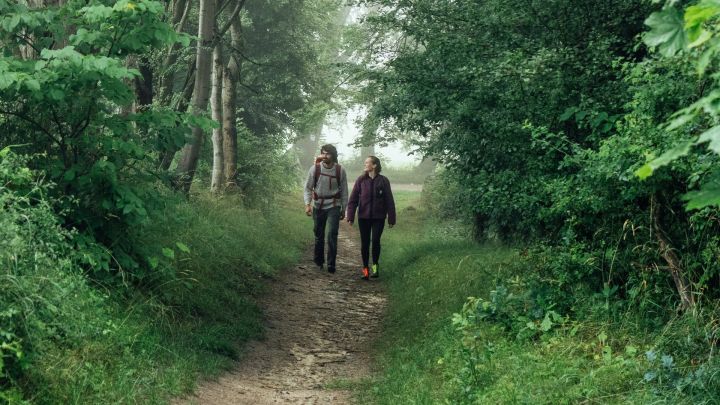 Wandern auf dem Naturparkweg durch die Mecklenburgische Schweiz