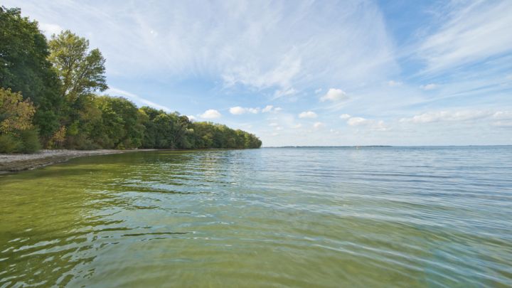 Blick auf Bolter Kanal auf der Kanutour Mirow-Müritz-Rundtour
