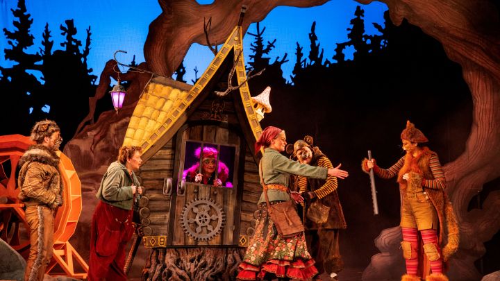 Die verzauberten Brüder