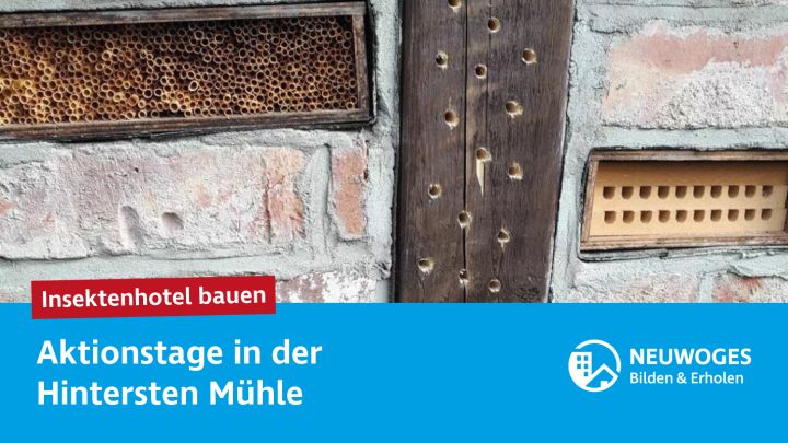 nwg-soc-med_2025_hinterste-mühle_aktionstage-e