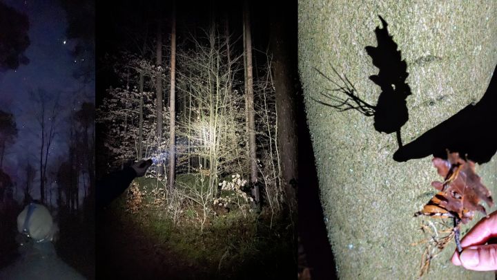 Taschenlampenwanderung