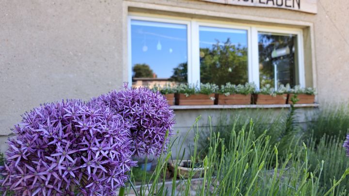 20230606_094353 Kopie