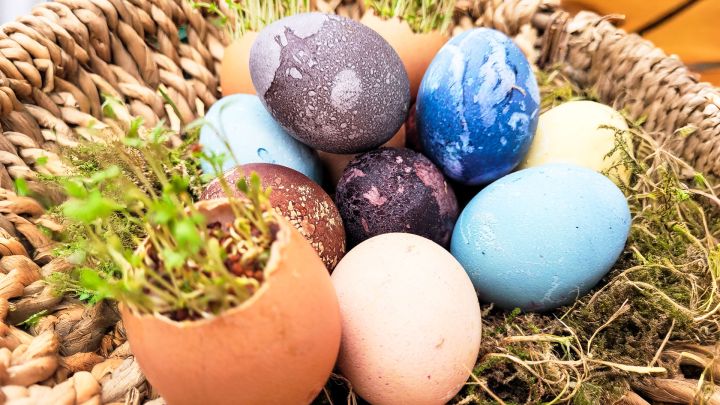 KeyVisual_AGM_Osterallerlei-Saisonstart_2026_16zu9