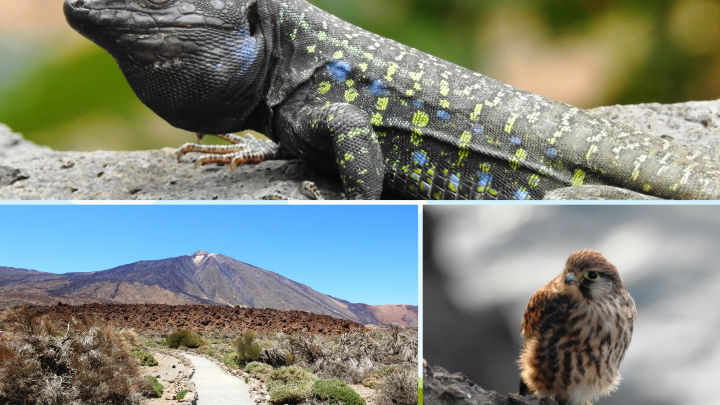 Vortragreihe BUND 2026