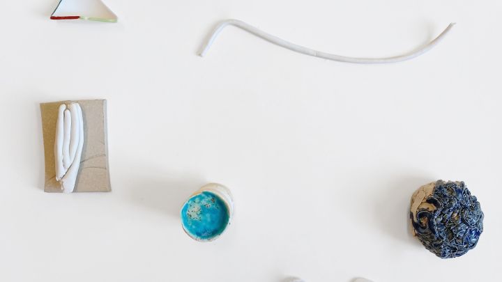 Dana JES: Tage des Lichts / wild, Dänemark, 2025