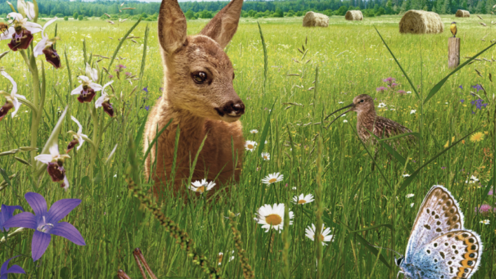 Bildschirmfoto 2026-03-05 um 09.40.34