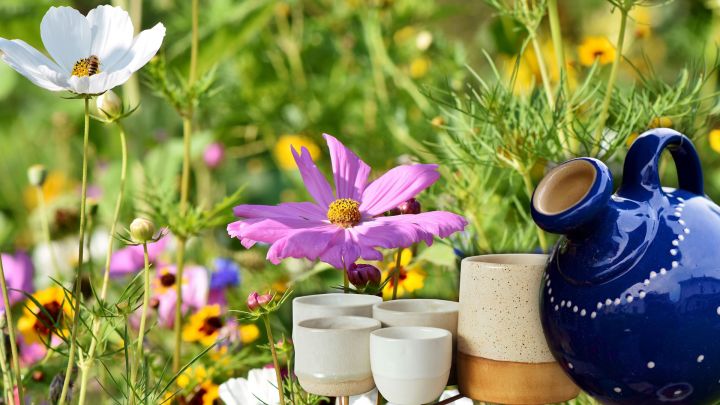 KeyVisual_Toepfertag_AGM_2026_16zu9