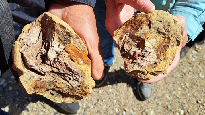 26-05-09 Wunderbare Welt der Steine, GMZ