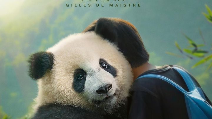 moon-der-panda