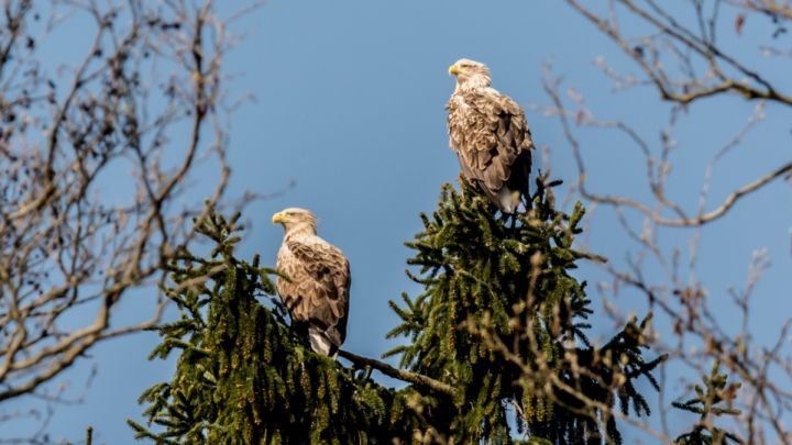 seeadler-tour-boots-berg-2_1 seeadler-tour-boots-berg-2_1