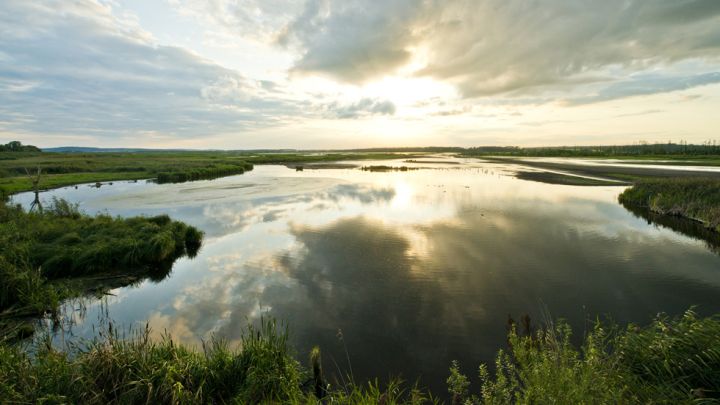 Blick auf Große Rosin auf der Kanutour 6 - 7 Tage - auf der Peene bis Anklam