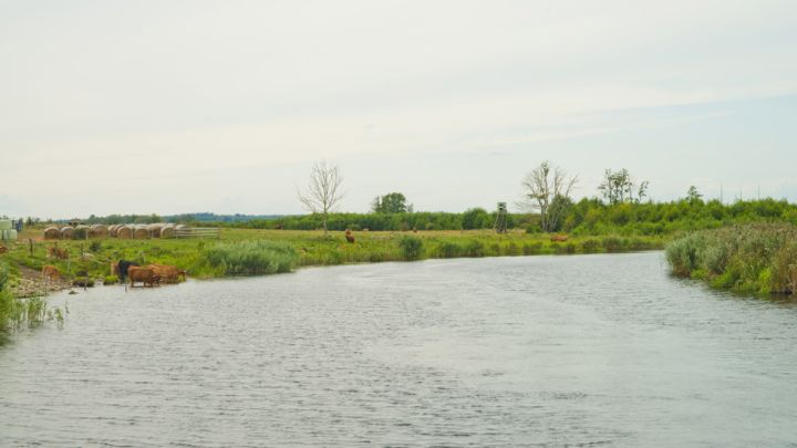 auf der Kanutour 3 - 4 Tage - über die Peene und Tollense