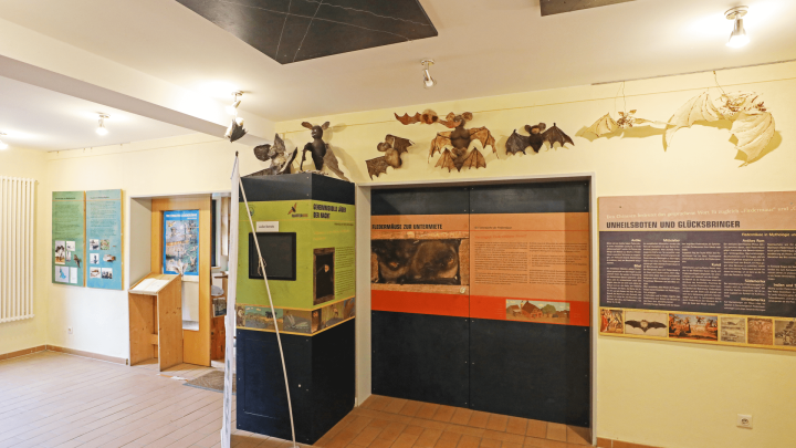 Nationalpark-Information "Flatterhus Kratzeburg