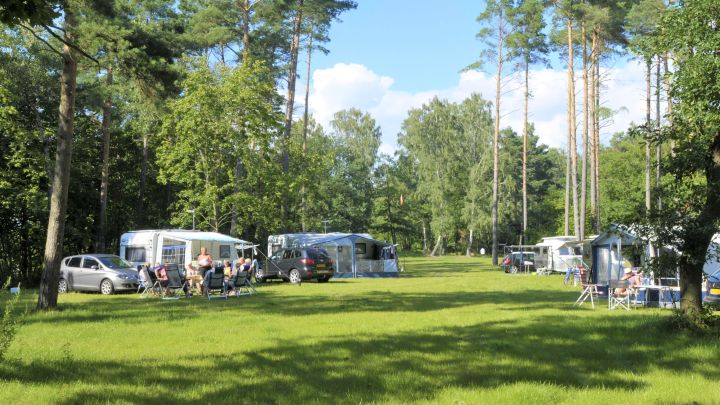 CampingPlatz Ecktannen Bereich hinter Rezi