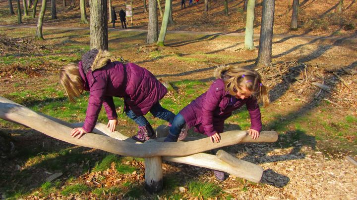 Spielelement auf dem Walderlebnispfad Spielelement auf dem Walderlebnispfad