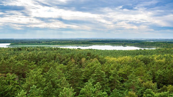 Weite Sicht vom Käflingsbergturm Weite Sicht vom Käflingsbergturm