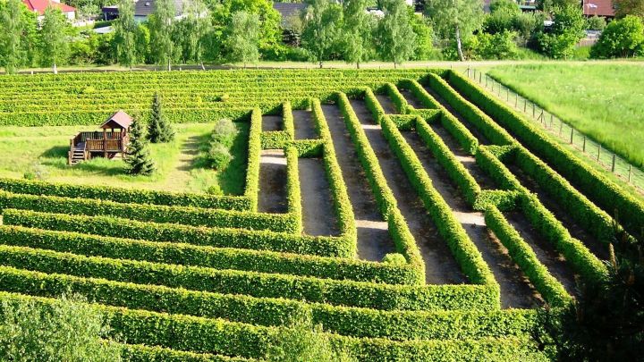 Irrgarten Irrgarten