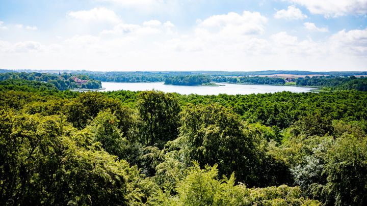 Aussicht vom Aussichtsturm