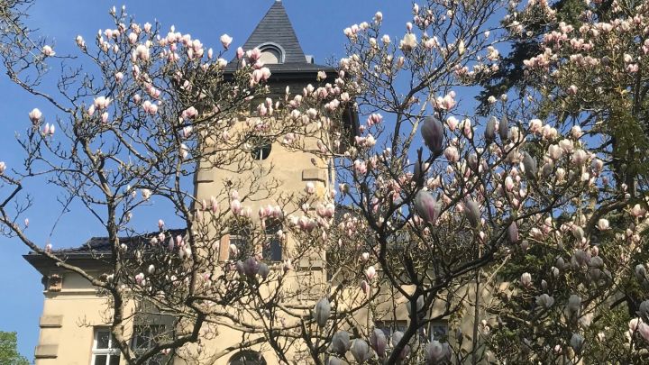 auf-nach-mvdemw1920 auf-nach-mvdemw1920