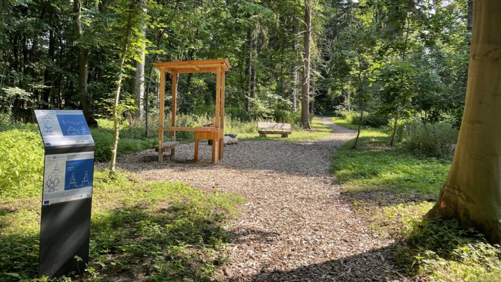 Hören - Heilwald - Müritz Klinik